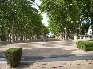 place arborée